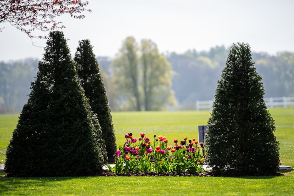 Lord Wandsworth College Opens Gardens to Visitors